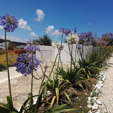 Bb Silvercoast Casa Das Flores Santa Catarina  外观 照片